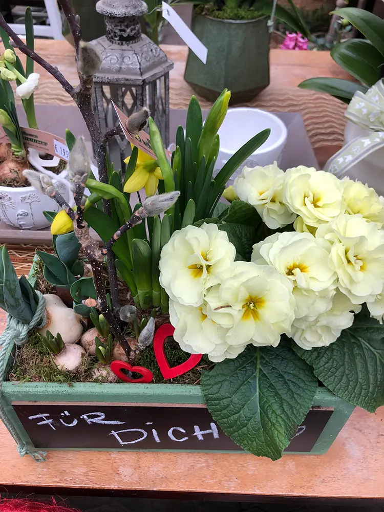 Blumen Gärtnerei